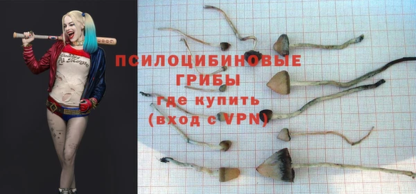 крисы Алзамай