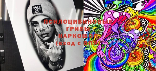 стафф Алексеевка