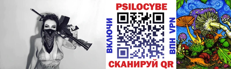 купить наркоту  Сенгилей  Галлюциногенные грибы Psilocybe 